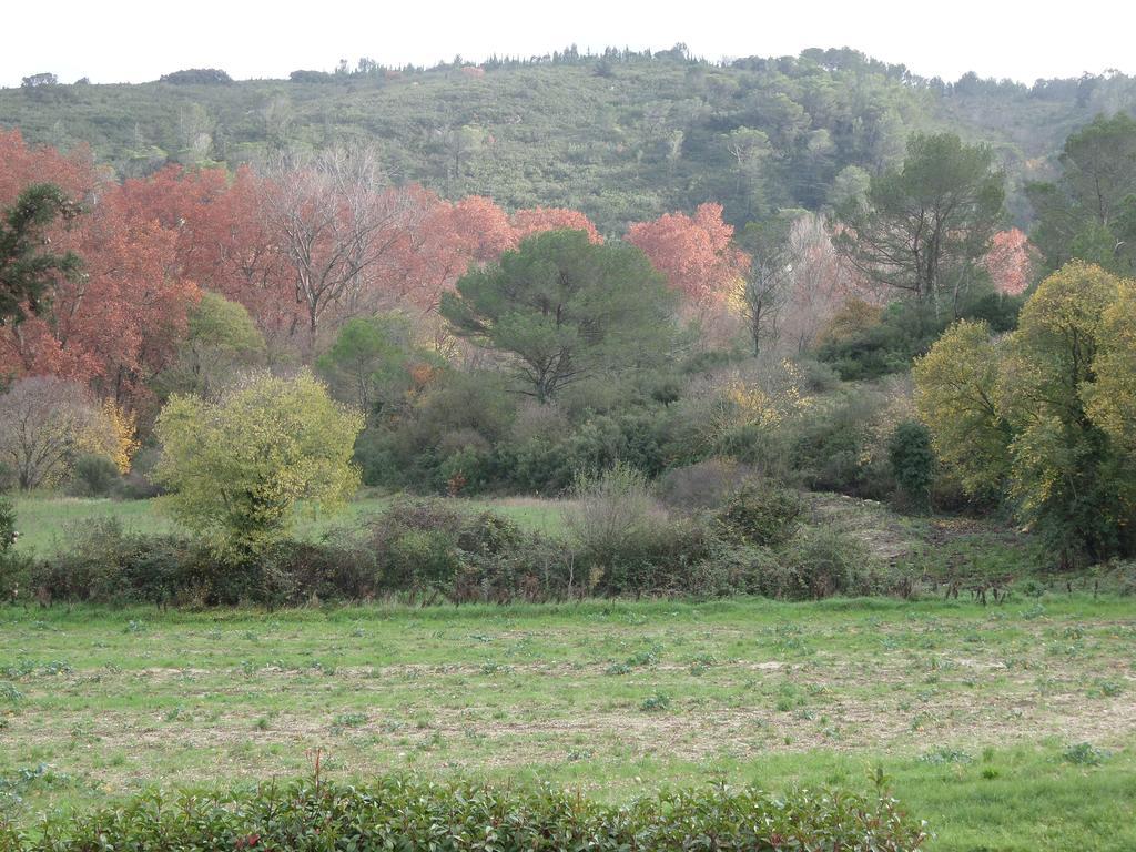 Appart'17-Domaine De La Source Uzès Zimmer foto