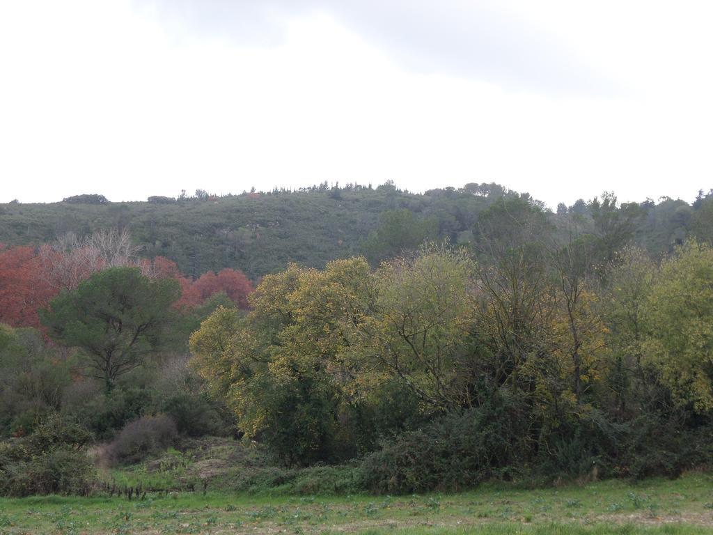 Appart'17-Domaine De La Source Uzès Exterior foto